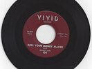 RnB Blues Rocker 45-Shakey Jake-Roll Your Money Maker / Vivid 009