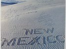 New Mexico - S/T LP - Decade - Obscure Modern Soul Funk MP3 VG++