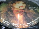 KATE BUSH Interview picture disc 12