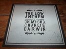 THE LOW ANTHEM my god, charlie darwin ORIG 2009 U.S. vinyl LP old store stock NM