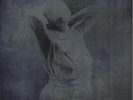 Siouxsie & The Banshees Hong Kong Garden - 2 x7