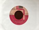 SUNDAY Northern Soul 45 AIN’T GOT NO PROBLEMS   ALTEEN