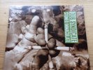 Dub Syndicate- Stoned Immaculate LP Dub Reggae Sherwood Lee Perry