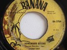 HONEY BOY - HOMEWARD BOUND - BANANA ( RARE COXSONE REGGAE 7 )