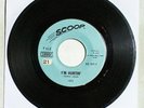 THE COBRAS I’m Hurtin’ / If I Can't Believe Her 45 Vinyl 1966 RARE Garage H-178