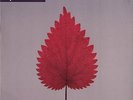 Depeche Mode - Freelove 12