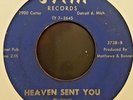 ARABIANS--HEAVEN SENT YOU / THE SHACK--JAM 3738--RARE DETROIT DOO WOP