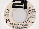 THE INDIVIDUALS Tammy Burdett The Look Of Love NW Bossa Scat Jazz Pop 45 LISTEN