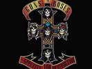 Guns N Roses Appetite for Destruction  Vinyl Record Album New Sealed p