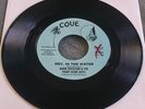 Mark Erickson & the Point Dume Boys - Hey, in the Water 45 Latin (Cove) NM