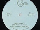 Odyssey And Company - She's Perfect 12