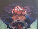 George Duke: The Aura will Prevail