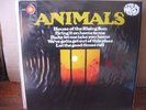 THE MOST OF THE ANIMALS VINYL LP 12'' NEAR MINT