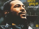 Marvin Gaye - What's Going On VINYL LP NEW/ MINT