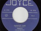 CREST'S - JoYce 103 (large 