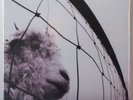 Vs. [Remastered] by Pearl Jam (Vinyl, May-2011, 2 Discs, Epic)
