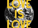 WOODS-LOVE IS LOVE  (US IMPORT)  VINYL LP NEW