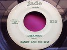 Hear Rare Garage Psych 45 : Randy And The Rest   Confusion   Dreaming   Jade 767