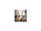 (Whats the Story) Morning Glory [Remastered] [LP] by Oasis (Vinyl, Sep-2014,...