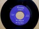 CLEE-SHAYS My Dream/Sitting On Front Porch 1961 7