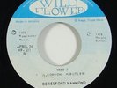 Beresford Hammond/Cedric Brooks 