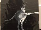 SIGUR ROS Limited edition to 100 vinyl ROUTE ONE