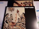 RUPTURE cunt of god LP yacopsae spazz slap a ham antiseen anal cunt meat shits