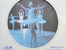 Tschaikowsky / Der Schwanensee / Ballett op. 20 Gesamtaufnahme 