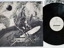 DAVID SYLVIAN SECRETS OF THE BEEHIVE VIRGIN VJL-28005 Japan VINYL LP