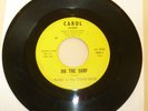 SURF 45 RPM RECORD - RUSS & THE STING-RAYS - CAROL 102