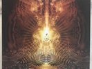 Desert Dwellers The Great Mystery LP Signed Colored Ltd (Shpongle Aphex Twin)