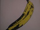 The velvet underground andy warhol vinyl