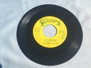 The Royal Jesters 45 Use Your Head My Love, My Love San Antonio Texas