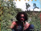 Reggae LP 28 - PETER TOSH - LEGALIZE IT - CBS NL 1976 - VG+