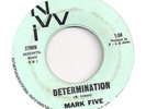 MARK FIVE Determination /Search Your Mind (NWI 2700) NW Garage Psych Mod 45 HEAR
