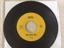 RARE  The Little Bits 45 - Girl Give Me Love & Spoofin   60's Garage Band