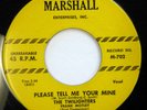 TWILIGHTERS 45 Please tell me your mine / Wondering MARSHALL(2nd) Doowop ws720