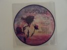 INDOCHINE RARE PICTURE DISC CANARY BAY