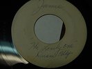 Classic guitar rock 45 rare test press Duane Eddy The lonely one on Jamie LISTEN