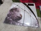 Pearl Jam - VS. - Contains Go And Daughter - 180 Gram Vinyl - Special Edition