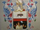 I Bisonti LP I nostri Successi, Italy 1968, Top Zustand, sehr rar