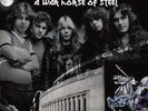 IRON MAIDEN - A WAR HORSE OF STEEL - RED VINYL  -  2 LP