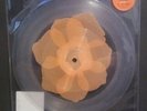 Karen Elson Third Man Records Vicious Rose Petal Pink Clear Jack White Vinyl 7