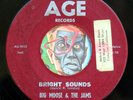 HEAR Big Moose & Jams 45 Bright Sound/Off The Hook AGE soul R&B tittyshaker inst