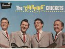BUDDY HOLLY THE CHIRPING CRICKETS ORIGINAL BRUNSWICK PROMO LP W TEXTURED COVER M