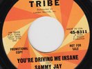 SAMMY JAY & TIFFINEERS You're Driving Me Insane SCREAMING r&b mod garage 45 HEAR