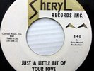FORTUNE TELLERS vg++ Sheryl 45 School Prom  Just a Little Bit of Your Love PJ112
