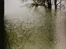 BON IVER FOR EMMA FOREVER AGO VINILE LP NUOVO SIGILLATO