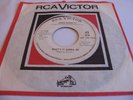 SUSAN BARRETT - WHAT'S IT GONNA BE / IT'S NO SECRET - RCA VICTOR DJ