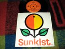 PRIVATE Letty de Jong, Cees Small (Diamond Five) DUTCH FEMALE VOCALL JAZZ, RARE